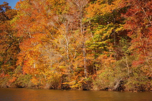 autumn3.jpg