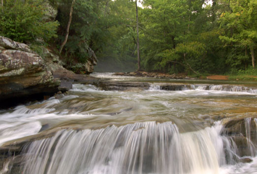 turkey_creek1.jpg