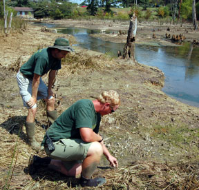 roebuck_pond2.jpg