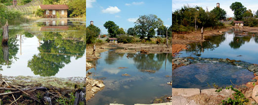roebuck_pond333.jpg