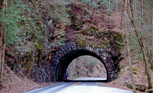 tunnel1.jpg