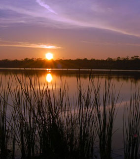 sunrise14a.jpg