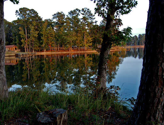 lake_martin2b.jpg
