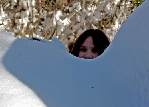 livi_snowbank.jpg