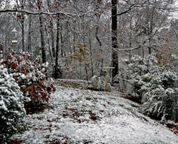 snow09bbb.jpg