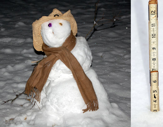 snow_cowboy1b.jpg
