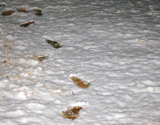 snow_footprints.jpg