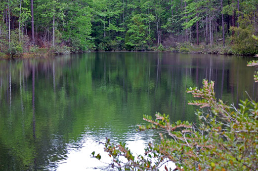 FWlake1b.jpg