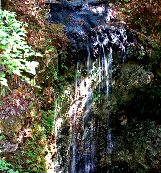 fallwaters_falls2b.jpg