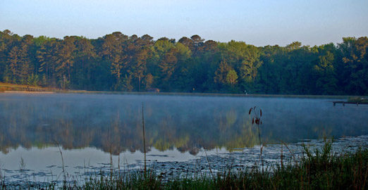 klake_fog1b.jpg