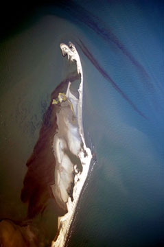 BPOIl_island1N.jpg