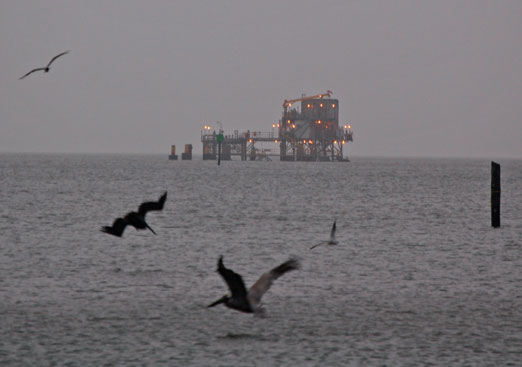 Dauphin_Island1b.jpg
