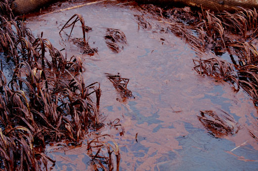 oil_water6-22cb.jpg