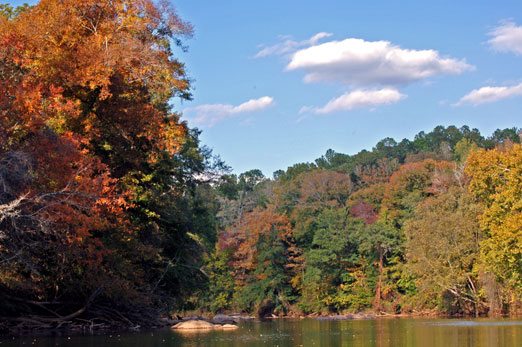 horseshoe_bendfall10ab.jpg
