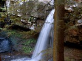 Secret Vistas: The Waterfalls of Cloudland Canyon State Park