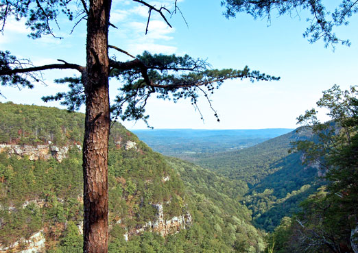 cloudland_canyon1b.jpg