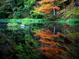Secret Vistas: A Photo Essay from the Lake Chinnabee Campground