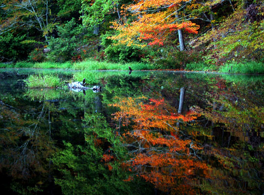 Lake_Chinnabee2b.jpg