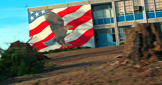 Erwin_Eagle1b.jpg