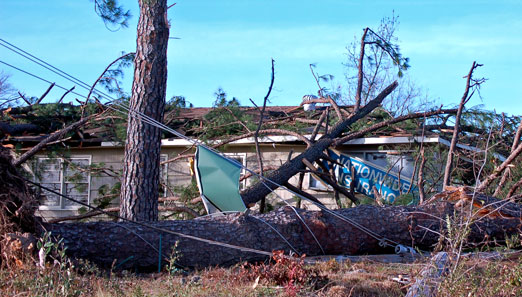 house10b.jpg