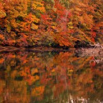 The Ultimate Metaphor: Life is Like A River