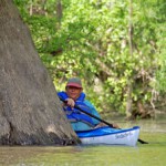Altruism Versus the Selfish Gene on the Gulf Coast