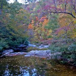 Environmental Groups Object to Gas Drilling in Talladega, Conecuh National Forests