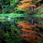 Secret Vistas: An Autumn View of Lake Chinnabee