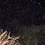 More Snow on the Way South?