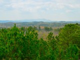 A Future Fracking Zone? Looking out over the national forest from the Talladega Scenic Drive toward Mt. Cheaha, the highest peak in Alabama’s Appalachian Mountains off in the distance (click on the images for a larger view) -
