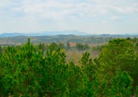 A Future Fracking Zone? Looking out over the national forest from the Talladega Scenic Drive toward Mt. Cheaha, the highest peak in Alabama’s Appalachian Mountains off in the distance (click on the images for a larger view) -
