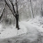Photo Essay: Birmingham’s Vulcan Trail Enshrouded in Snow