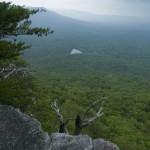 Photo Gallery: Talladega National Forest