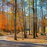 Talladega National Forest Makes Top Ten List of Most Endangered Places in the South