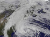 Sandy3.jpg