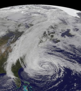 Sandy3.jpg