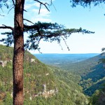 Secret Vistas: Cloudland Canyon State Park