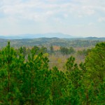 Camping With WiFi in the Talladega National Forest