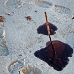 Oil Globs on the Beach in Gulf Shores Alabama