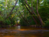 Autauga_Creek8-2-13f