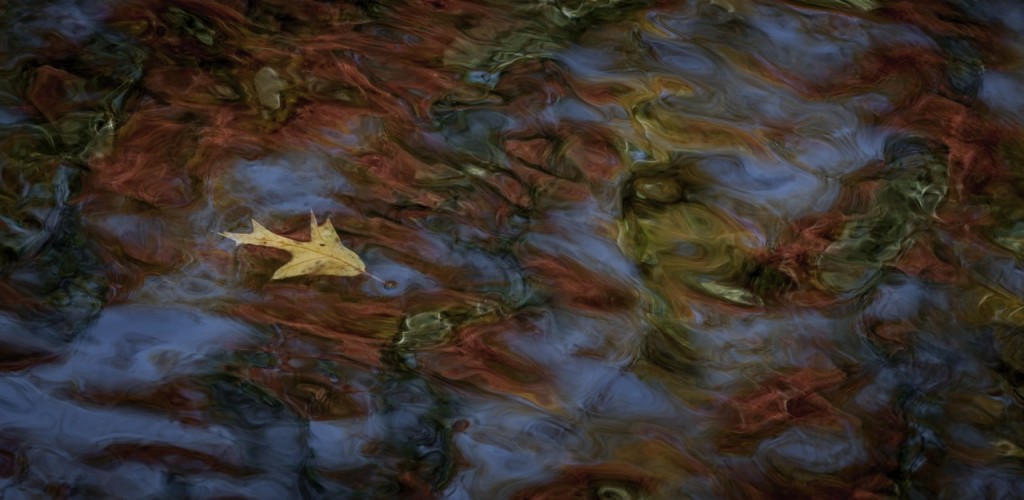 CheahaFallsLeavesKW1c