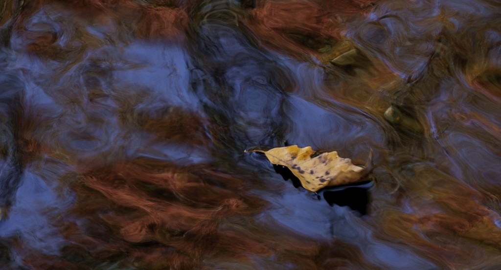 CheahaFallsLeavesKW2c