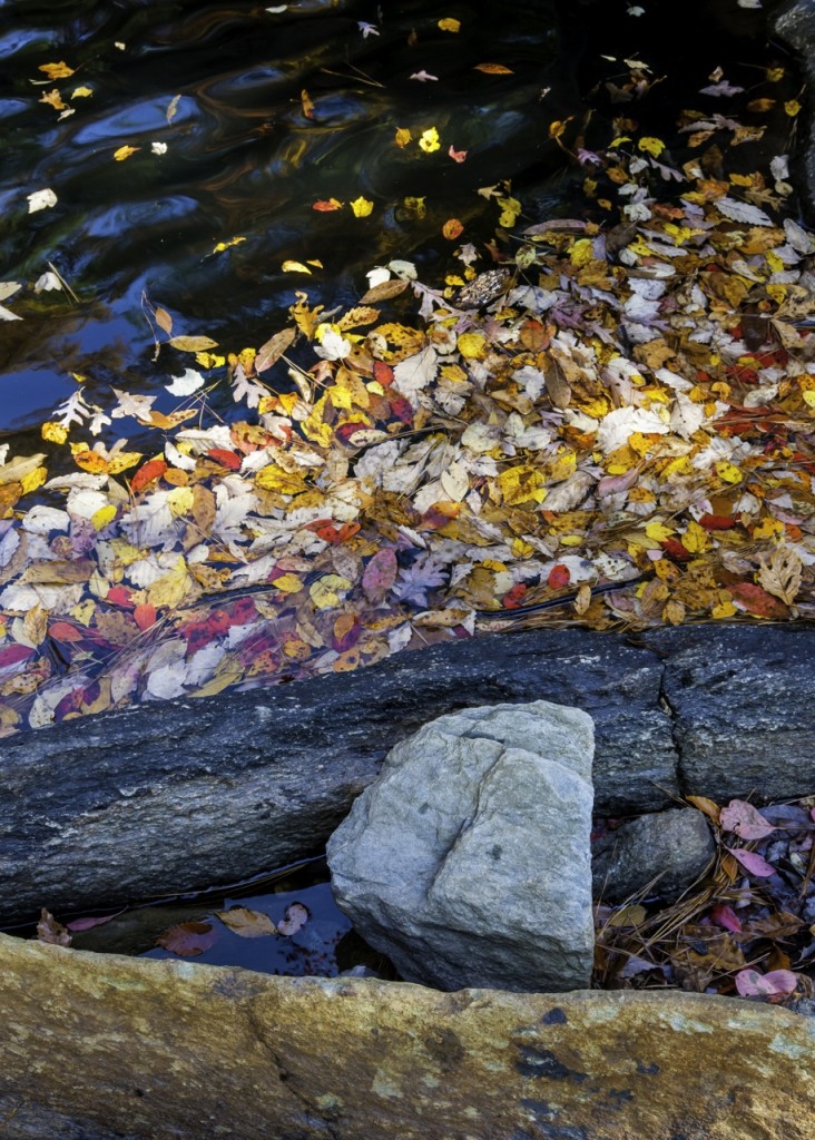 CheahaFallsLeavesKW6c