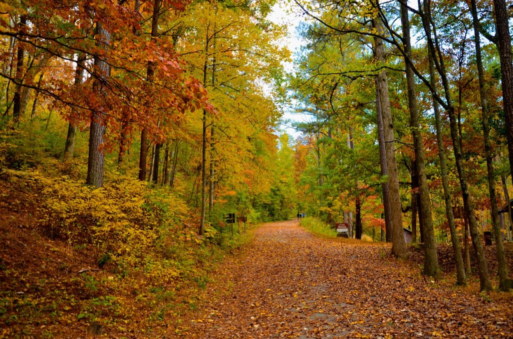 Chinnabee_Hike11-2-13a