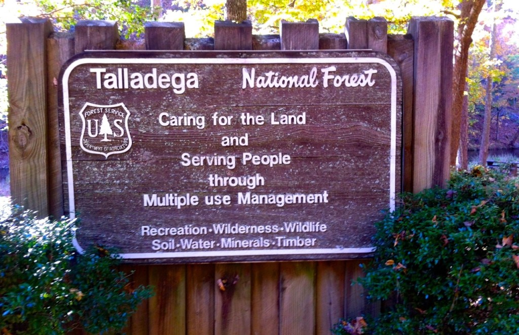 TalladegaNationalForest1