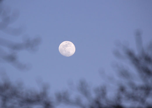 february_moon.jpg