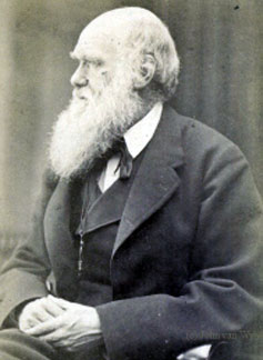 charles_darwin1n.jpg