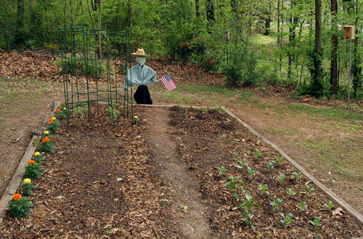 revolution_garden1b.jpg