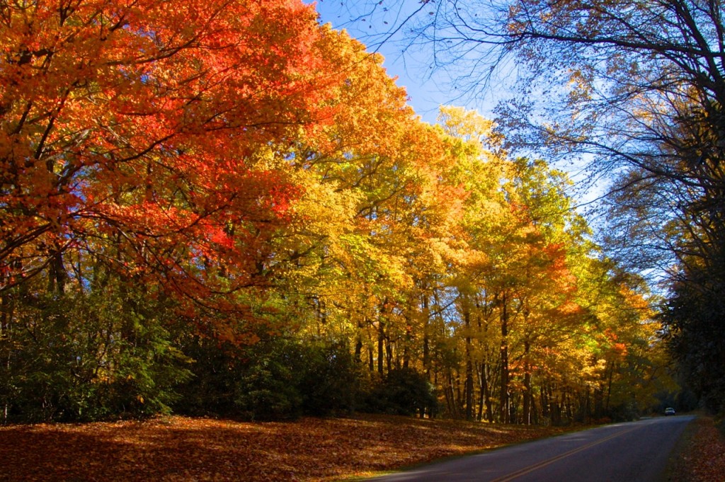 NorthCarolinaFall06c 1024x681 - Autumn Leaf Color Season Approaches