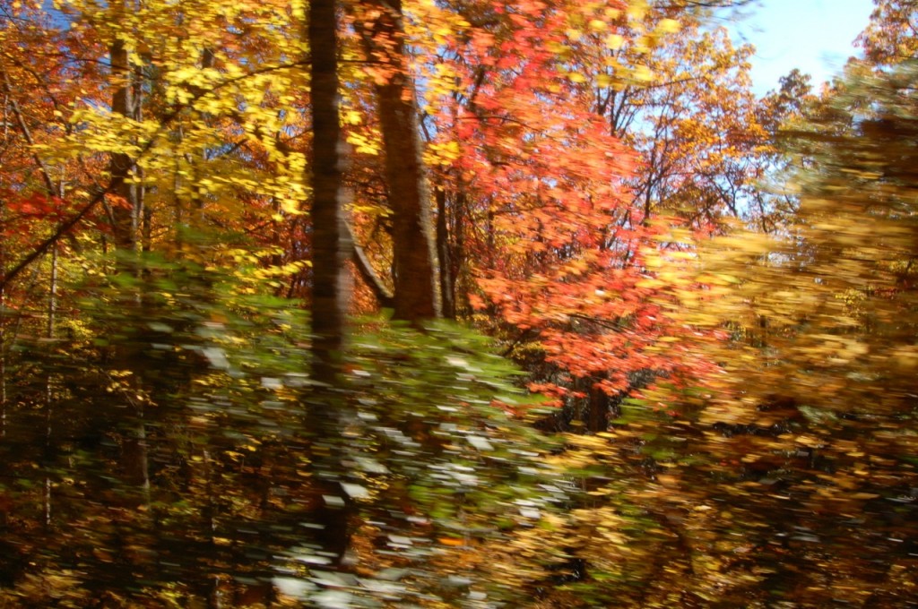 NorthCarolinaFall06d 1024x680 - Autumn Leaf Color Season Approaches